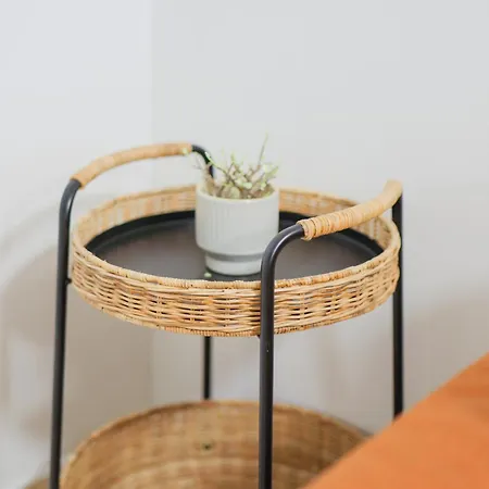 Cozy Carolina Ii Appartement